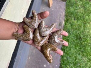 Kuripies from crashed Jasper stone