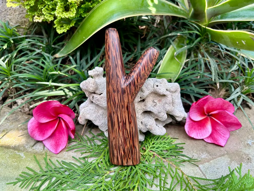 Standing Kuripe Coconut